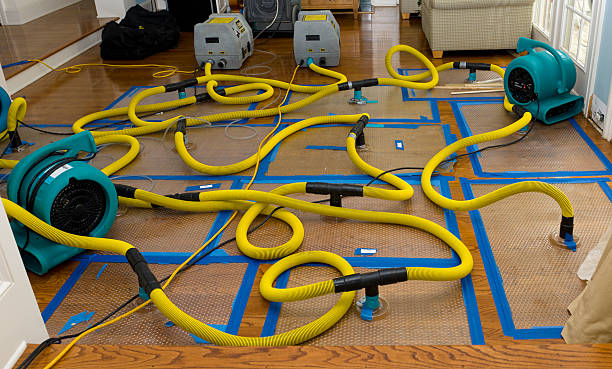Professional Storm Water Damage Restoration technician working in Indianola, WA